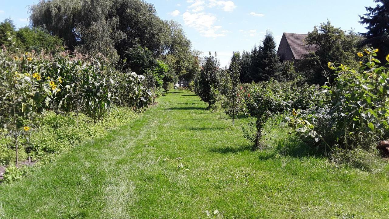 Gaestezimmer Sommer Locktow Ngoại thất bức ảnh